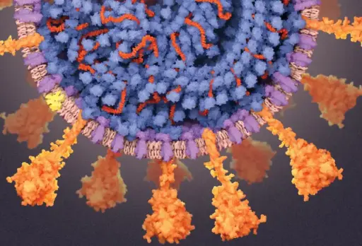 [VISC2-S101] SARS COV2 S1 (His Tag)